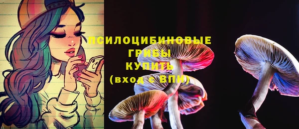бутират Алзамай
